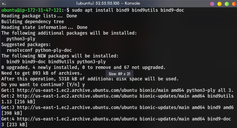 install bind9