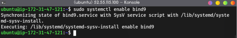 enable bind9