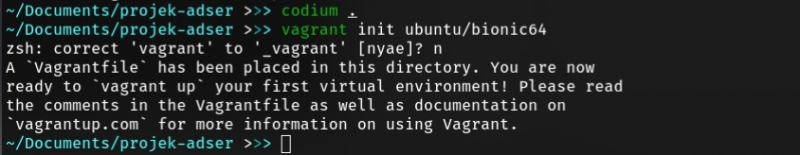 initialize vagrant dir